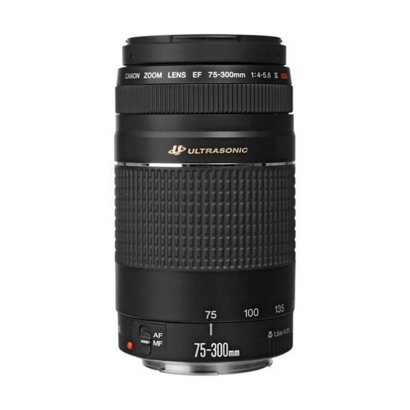 Canon EF 75-300mm f/4-5.6 III USM Lens