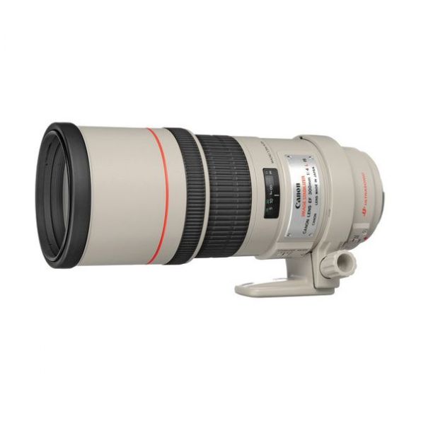 Canon EF 300mm f/4L IS USM Lens