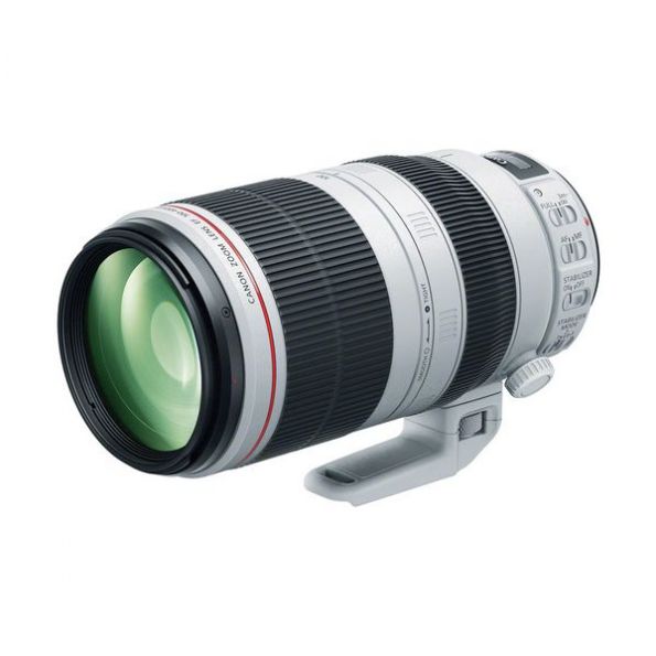 Canon EF 100-400mm f/4.5-5.6L IS II USM Lens