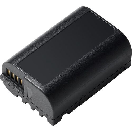 Lithium DMW-BLK22 Extended Rechargeable Battery (3000Mah)