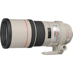 Canon EF 300mm f/4L IS USM Lens