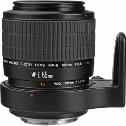 Canon MP-E 65mm f/2.8 1-5x Macro Photo Lens