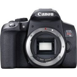 Canon EOS Rebel T8i DSLR Camera (Body Only)