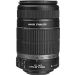 Canon EF-S 55-250mm f/4-5.6 IS STM Lens